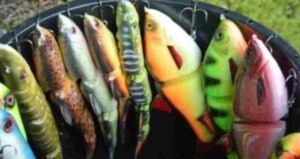 Best Swimbaits for Pike Fishing with Lure