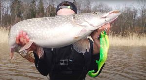 Best soft plastic lures for pike