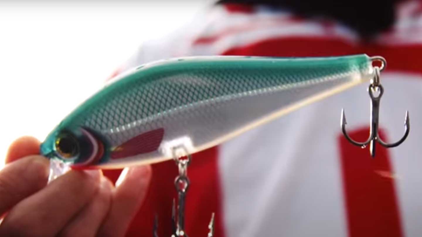 Read more about the article Best Crankbaits That Catch More Predatory Fish