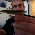 How to Use Weedless Lure Hooks for Soft Plastics