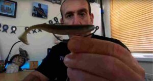 How to Use Weedless Lure Hooks for Soft Plastics