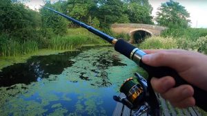 Buying-the-Right-Spinning-Rods-for-Pike-Fishing