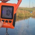 Best Fishing Scales to Know the weight of Your Catch