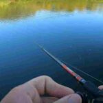 Best Jerkbait Rods for Pike Fishing