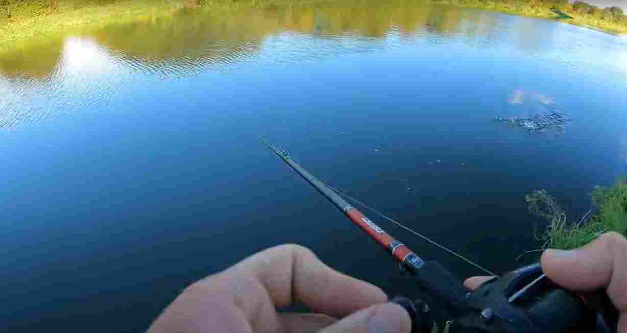 Read more about the article Best Jerkbait Rods for Pike Fishing
