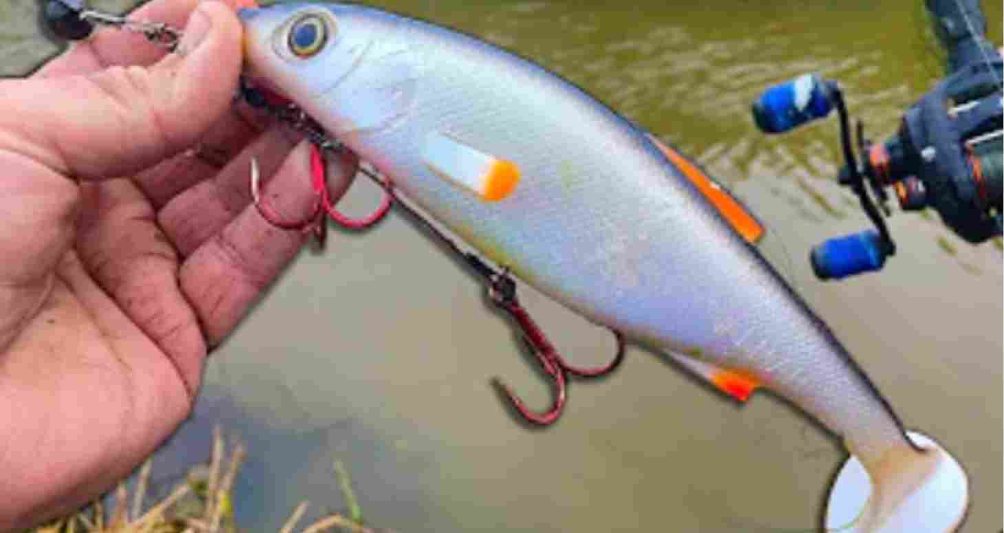 Best Lures for Catching Pike in Cold Water