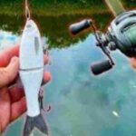 Best Glide Baits for Pike Lure Fishing
