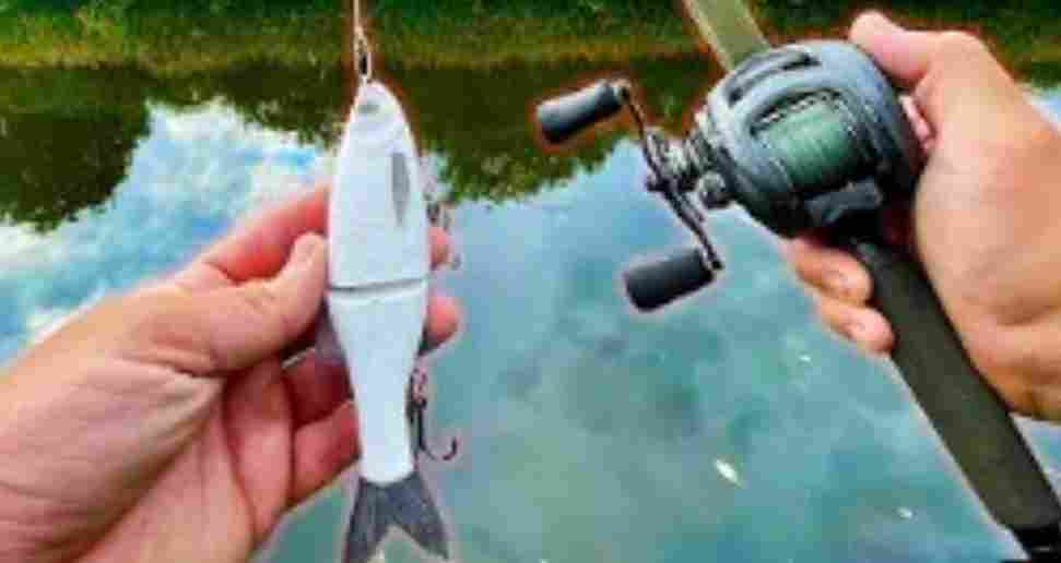 Read more about the article Best Glide Baits for Pike Lure Fishing