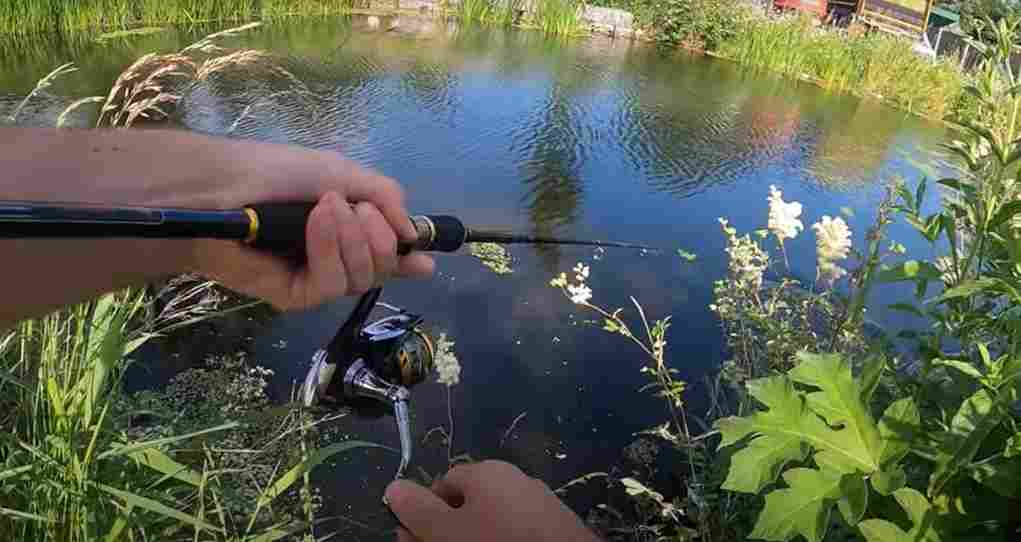 Best Spinning Rod and Reel Combos for Pike UK